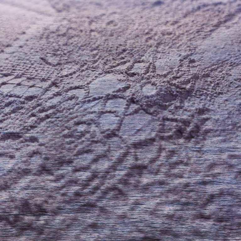 Francesca Paola Beltrame - Raqam Mediterraneo (Instagram)