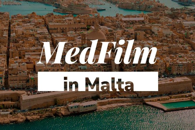 263469193 103201192209038 1347079020116470437 n