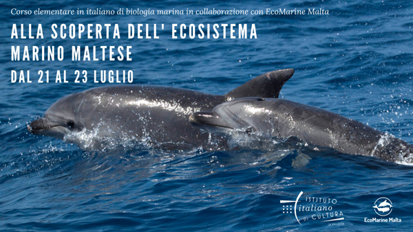 corso ecomarine cover